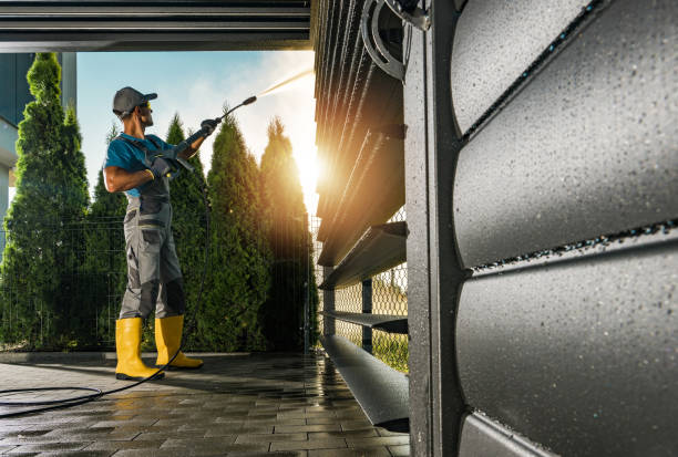 Animal Enclosure Cleaning in Jamestown, NY